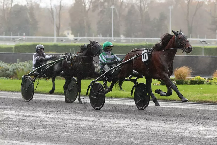 Image de l'article