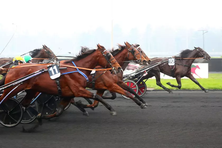 Image de l'article