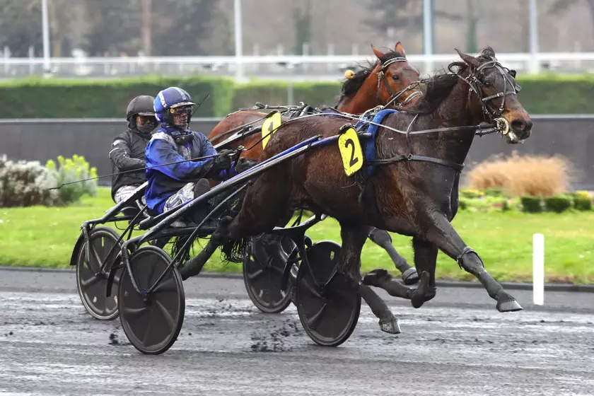 Image de l'article