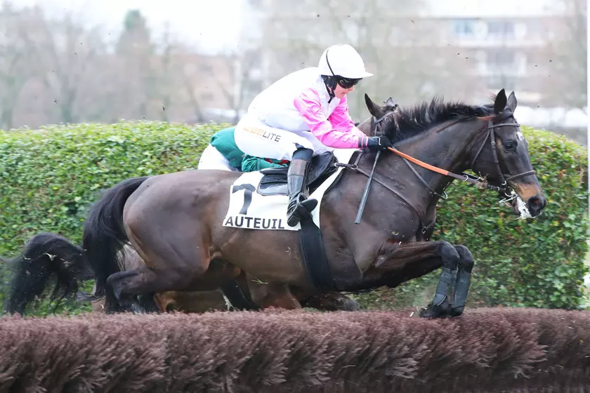 Quinté+: Folly Foot, l'outsider séduisant du Quinté de ce jeudi 11 ...