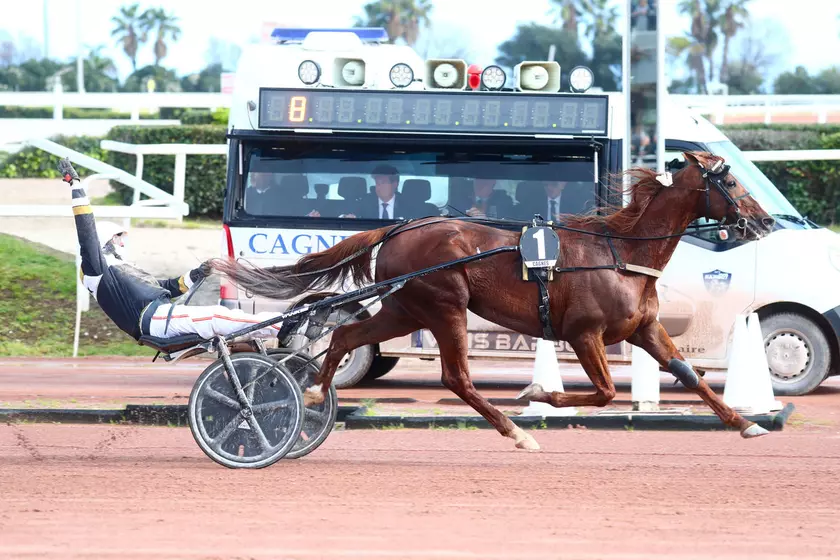 Image de l'article