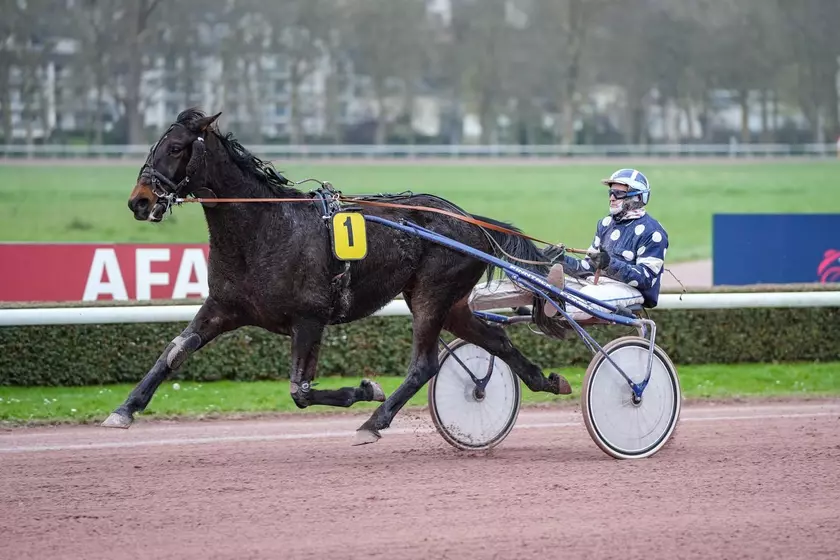 Image de l'article