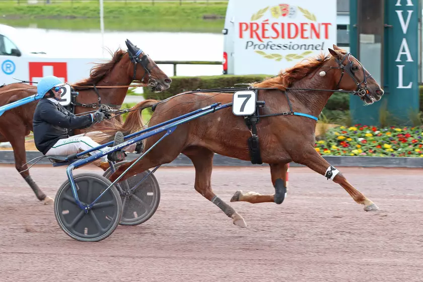 Image de l'article