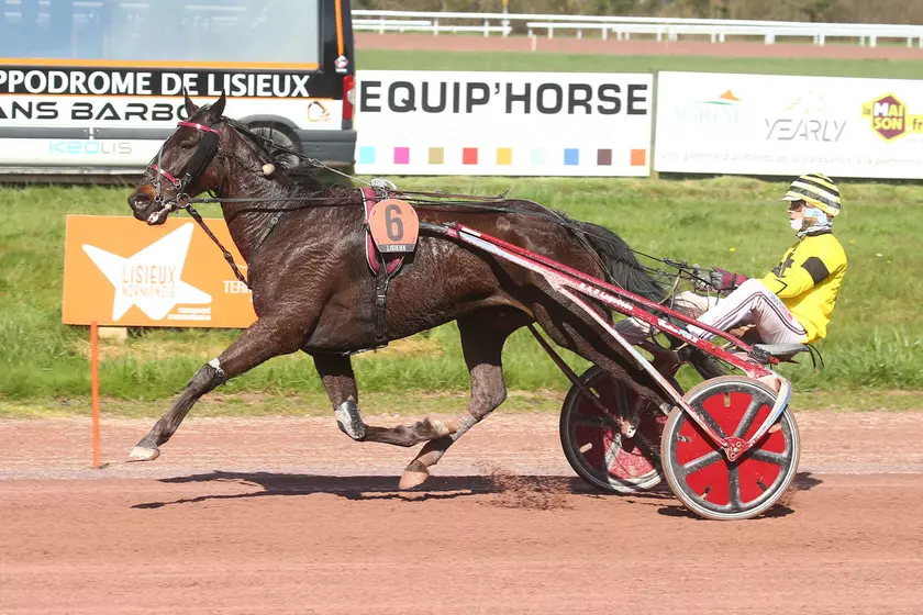 Image de l'article