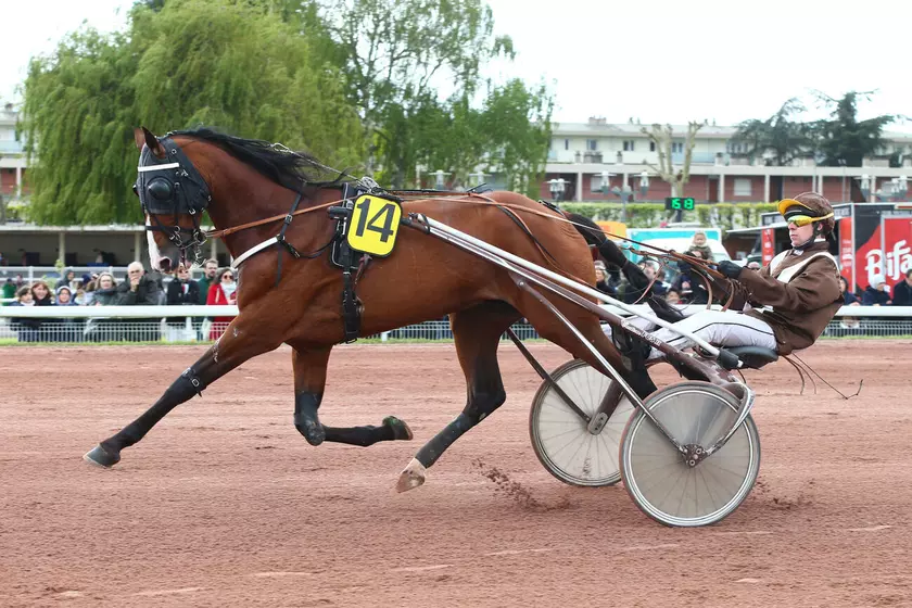 Image de l'article