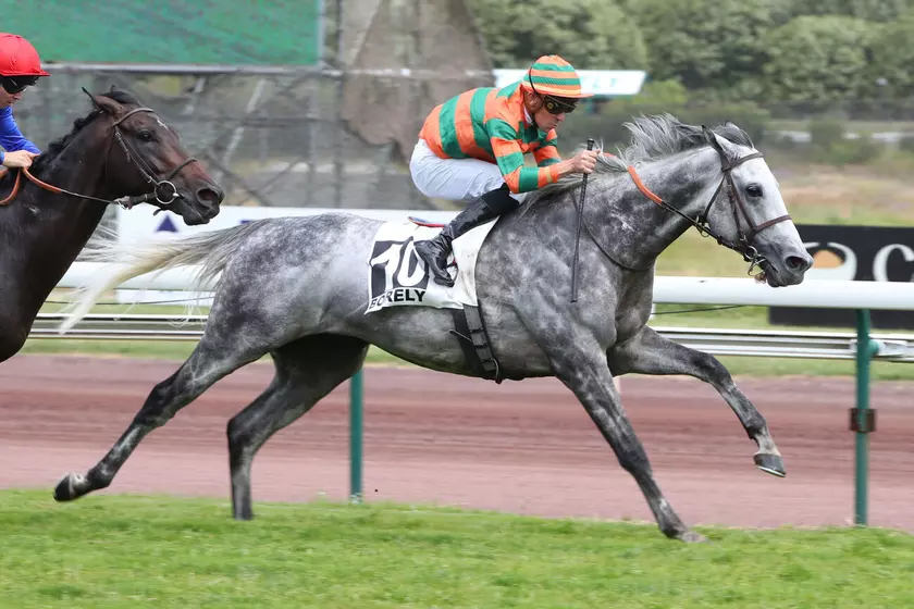Image de l'article