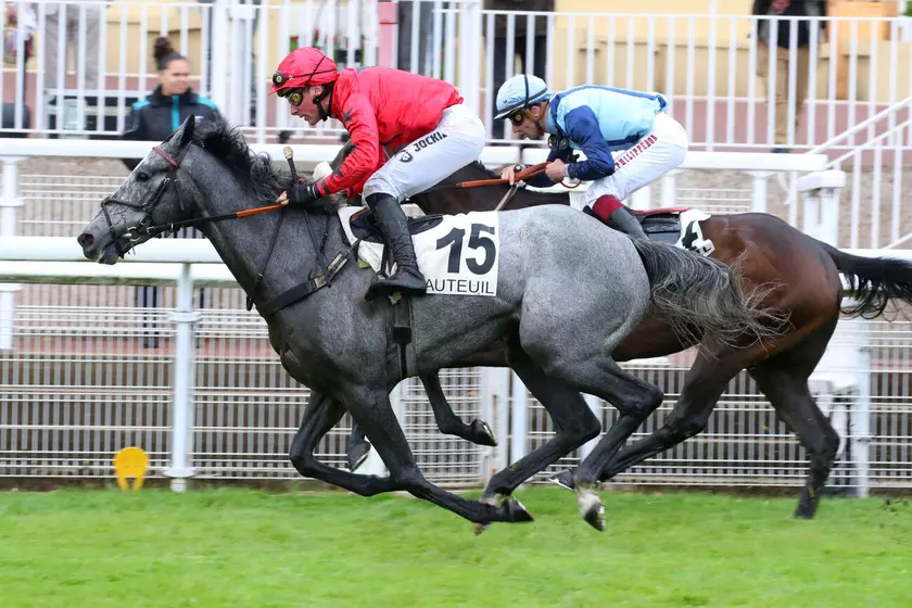 Image de l'article