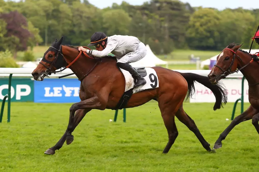 Image de l'article