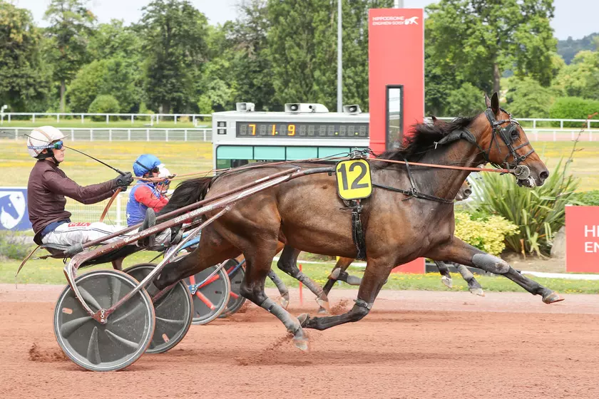 Image de l'article