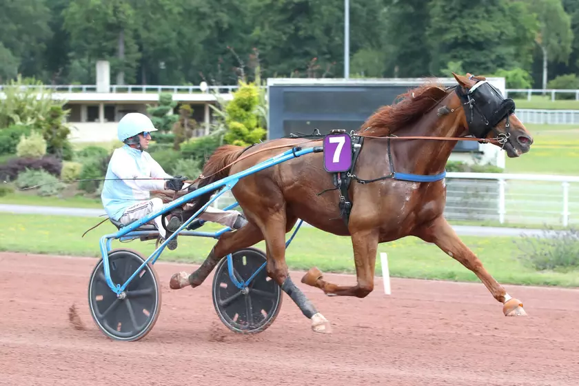 Image de l'article