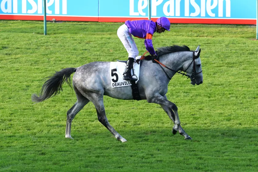 Image de l'article