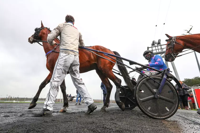 Le Grand Débrief - Michel Soulas : 