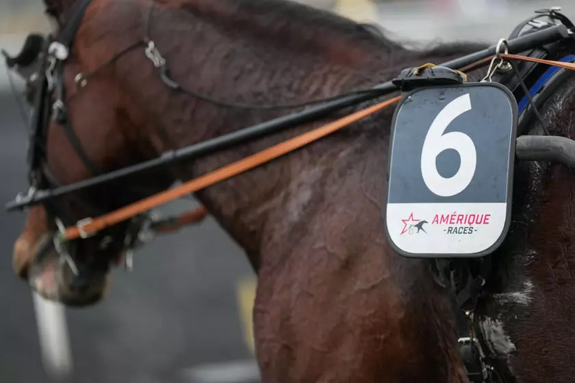 Quinté+: Les chiffres clés du Prix d’Amérique Legend Race 2025 | Equidia