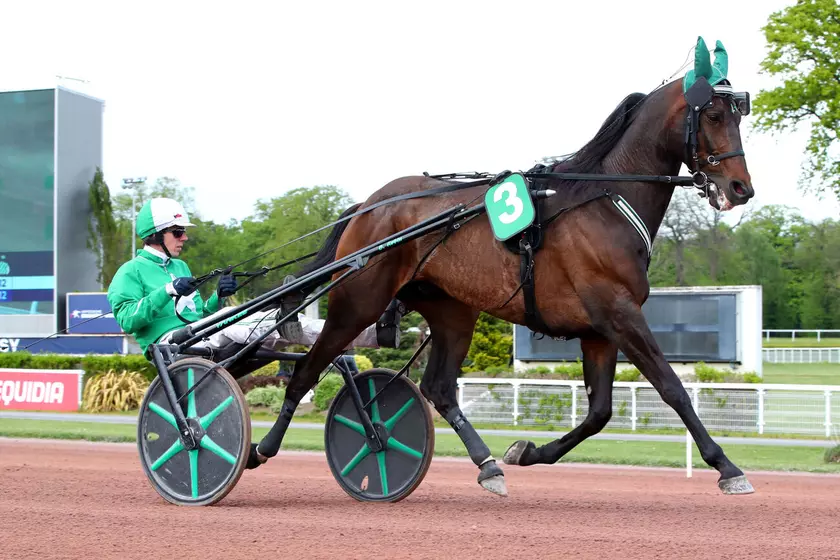 Hussard du Landret au départ de l'Elitloppet ! | Equidia