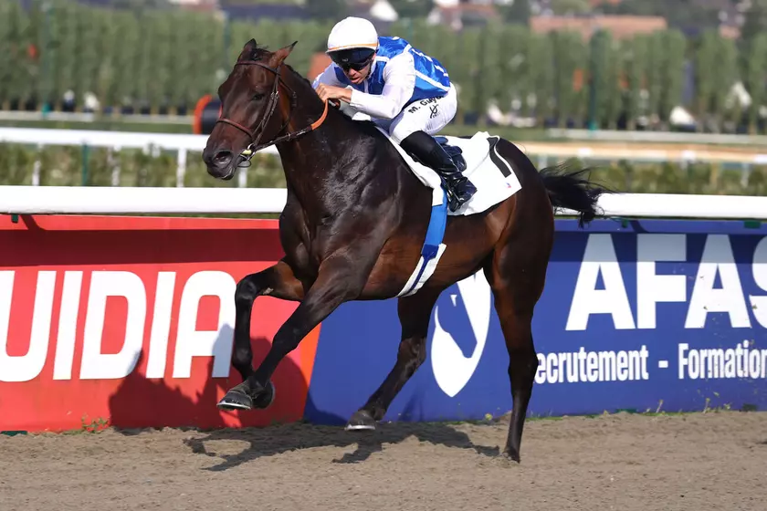 Quinté+: Arrivée et rapports du Quinté+ du mardi 5 août à Deauville ...