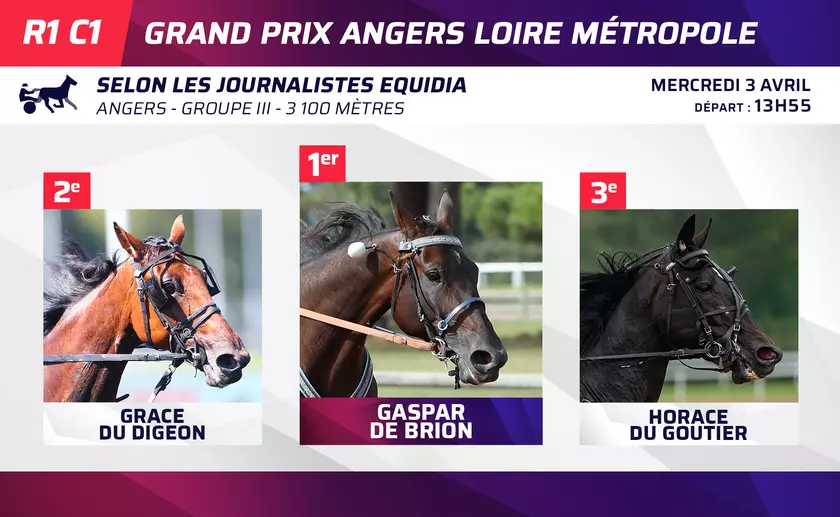 Quinté+: Le Top 3 des journalistes d’Equidia pour le Grand Prix Angers Loire Métropole mercredi à Angers