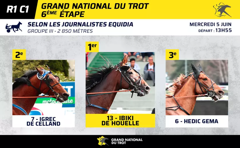 Quinté+: Le Top 3 des journalistes d’Equidia pour la 6ème étape du ...
