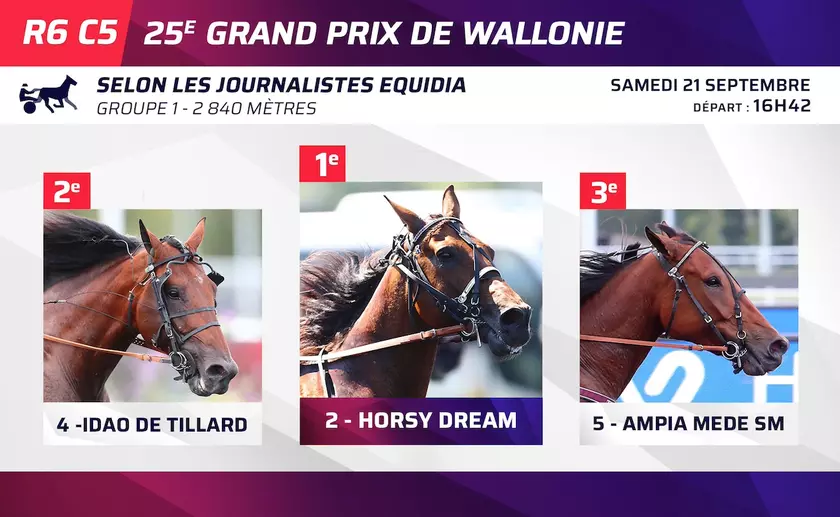 Le Top 3 des journalistes d'Equidia pour le Grand Prix de Wallonie (Gr ...
