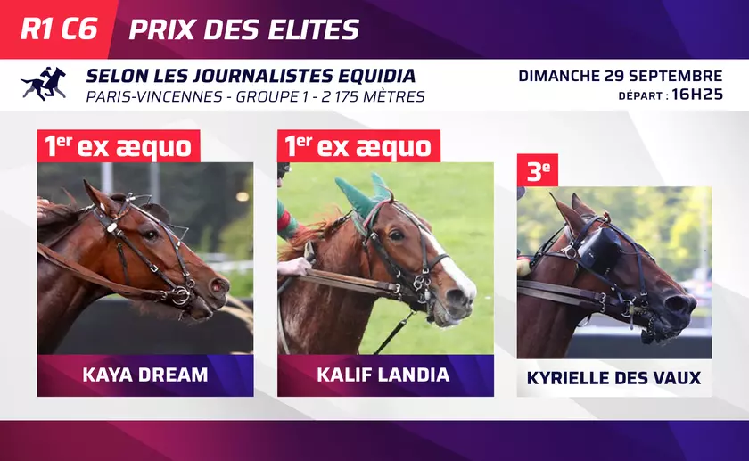 Le Top 3 des journalistes d'Equidia pour le Prix des Elites ce dimanche ...