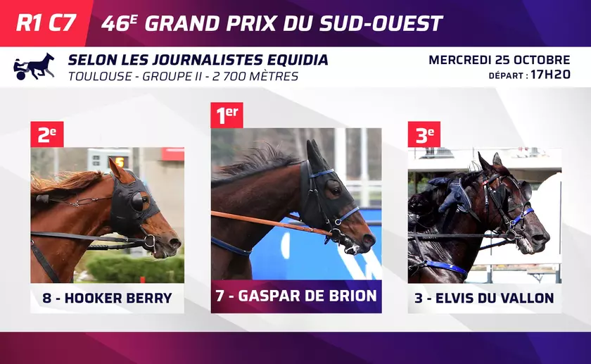 Le Top 3 des journalistes d'Equidia pour le 46ème Grand Prix du Sud ...