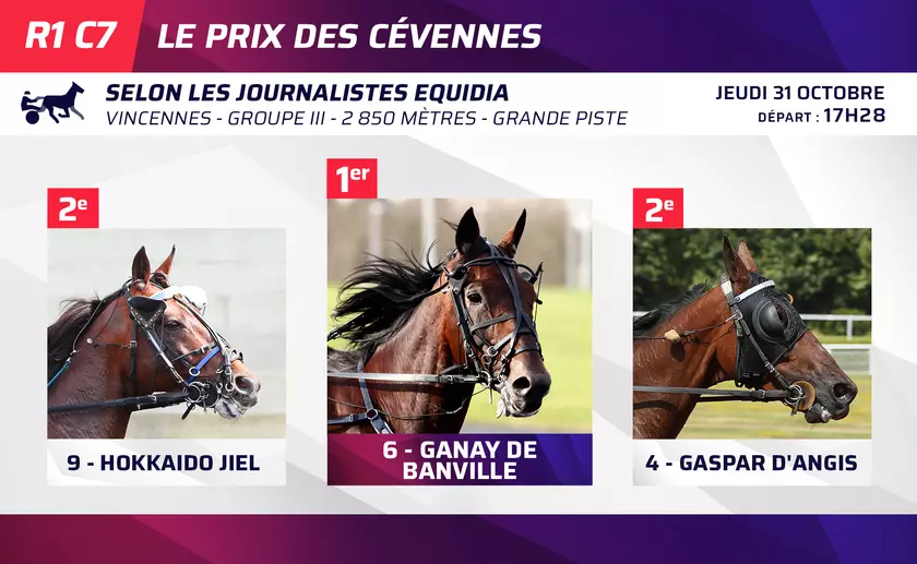 Le Top 3 des journalistes d'Equidia pour le Prix des Cévennes ce jeudi ...