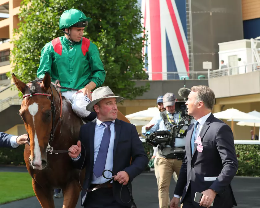 Qatar Racing Champion Stakes : Calandagan, roi d'Ascot ? | Equidia