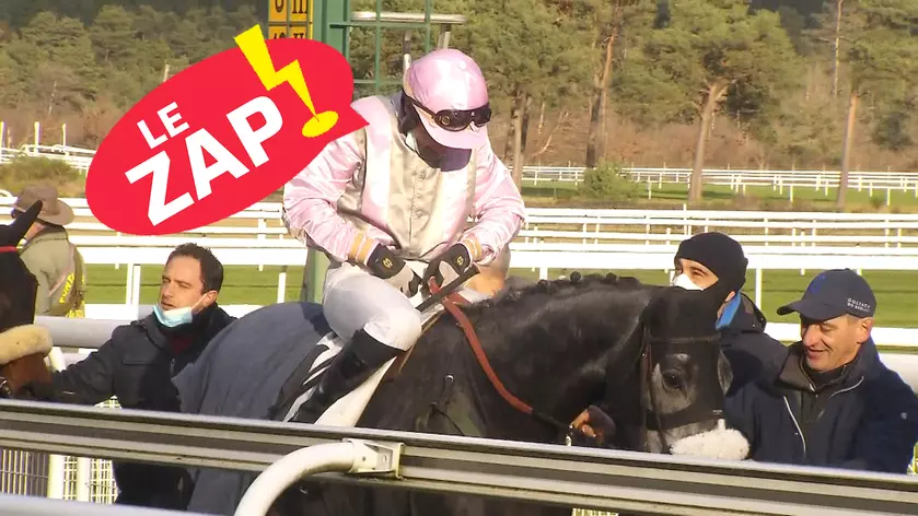 Equidia - Zap du mois de novembre 2021 | Equidia
