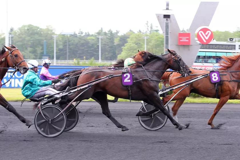 Paris turf annonces trotteurs new arrivals