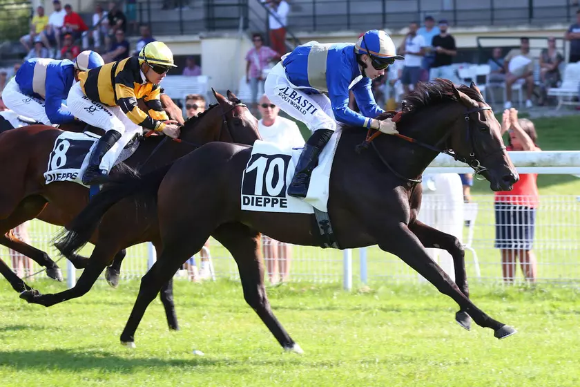 Image de l'article