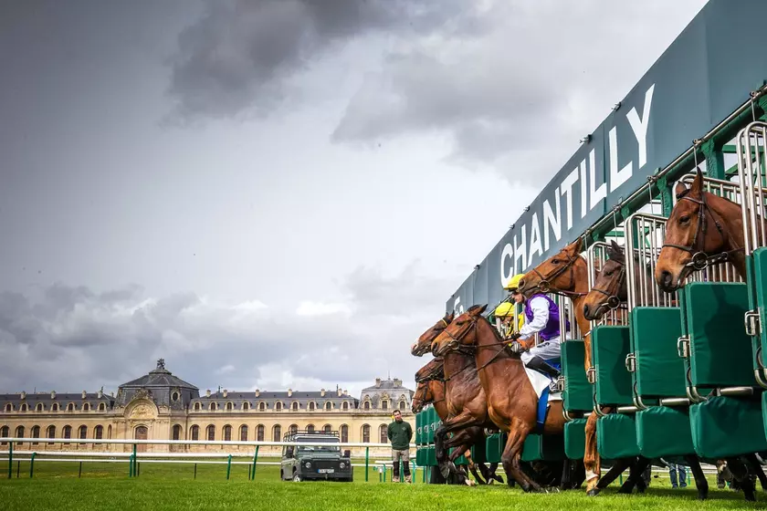 Les 4 infos incontournables de la R1 de Chantilly ce mardi 12 mai | Equidia