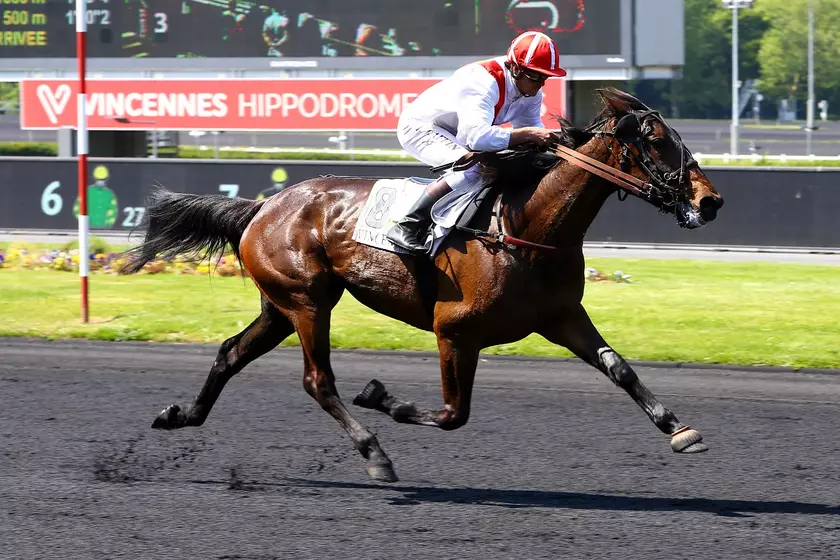 Samedi à Vincennes (R1C3) : 1'10