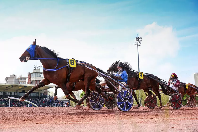 Les partants du Prix de l’Atlantique | Equidia