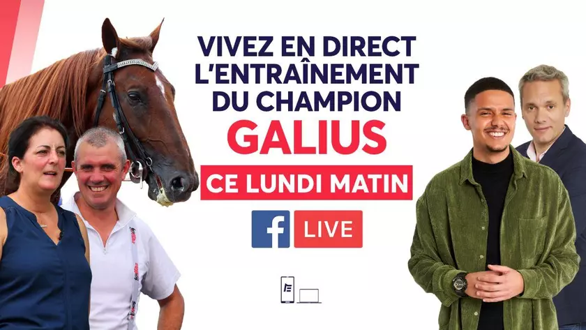 Exclusivité - Facebook Live Equidia : Vivez l'entraînement de Galius en ...