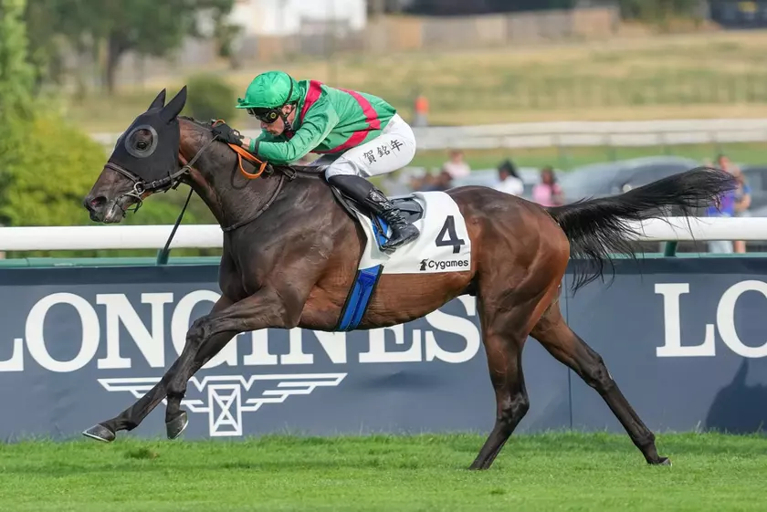 Prix des Greniers à Sel : Gerard Ter Borch et Caramelito Favoris au Quinté+