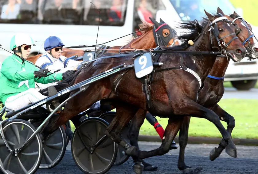 Image de l'article