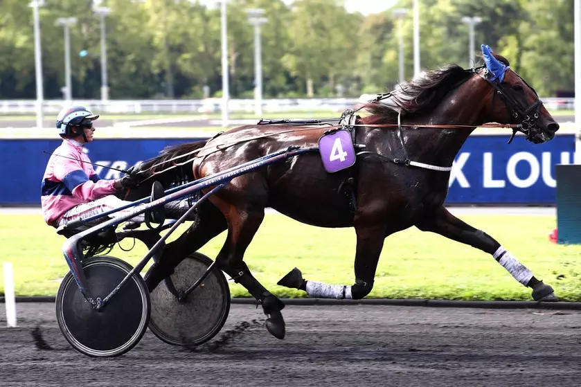 Prix Ténor de BauneAmérique Races PMU