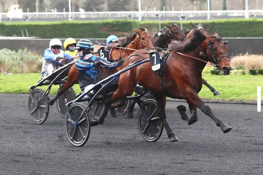 Image de l'article