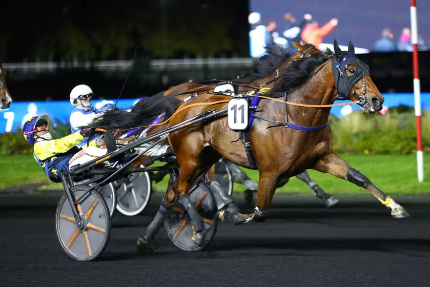 Quinté+: Quinté+ du lundi 1er décembre à Vincennes : Idéal de Castelle ...
