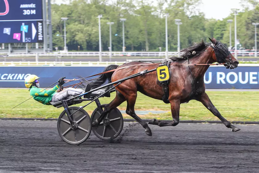 Istoric Mauzun s'impose avec autorité dans le Prix Henri Berry à Vichy — image 2