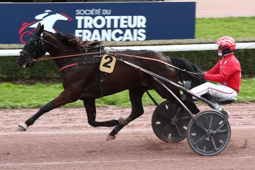 Image de l'article