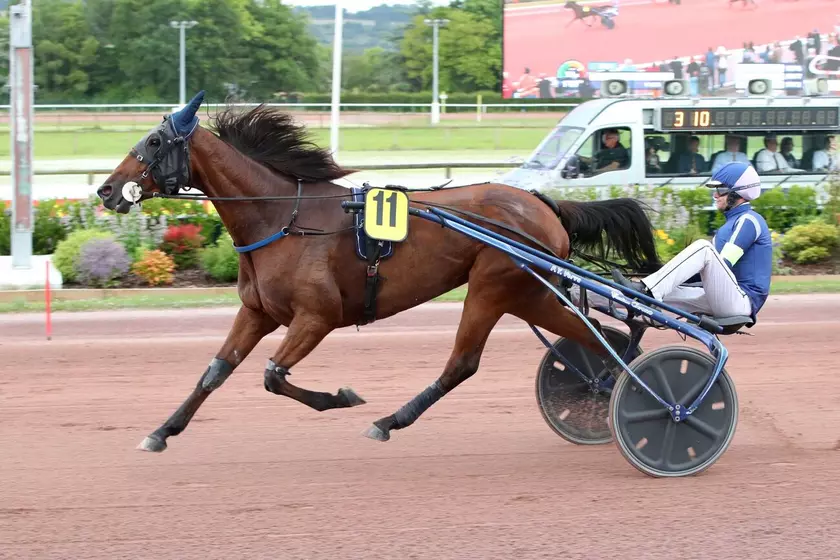Image de l'article