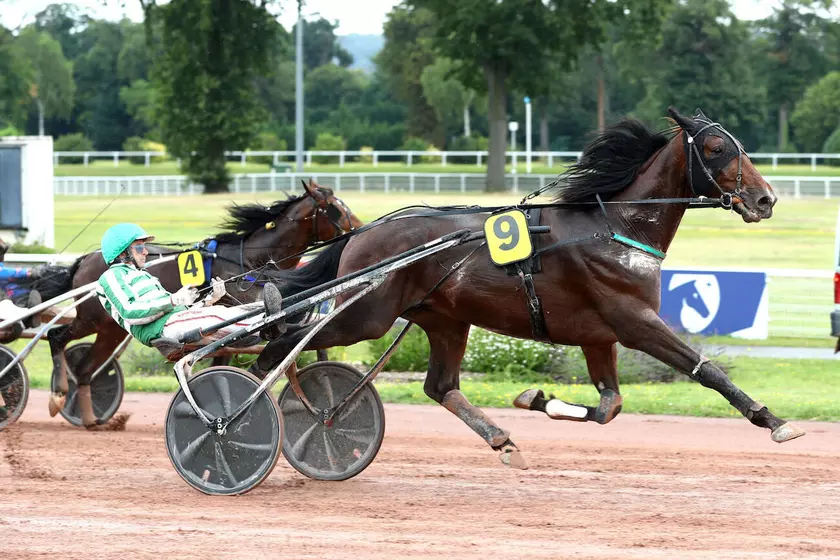 Image de l'article