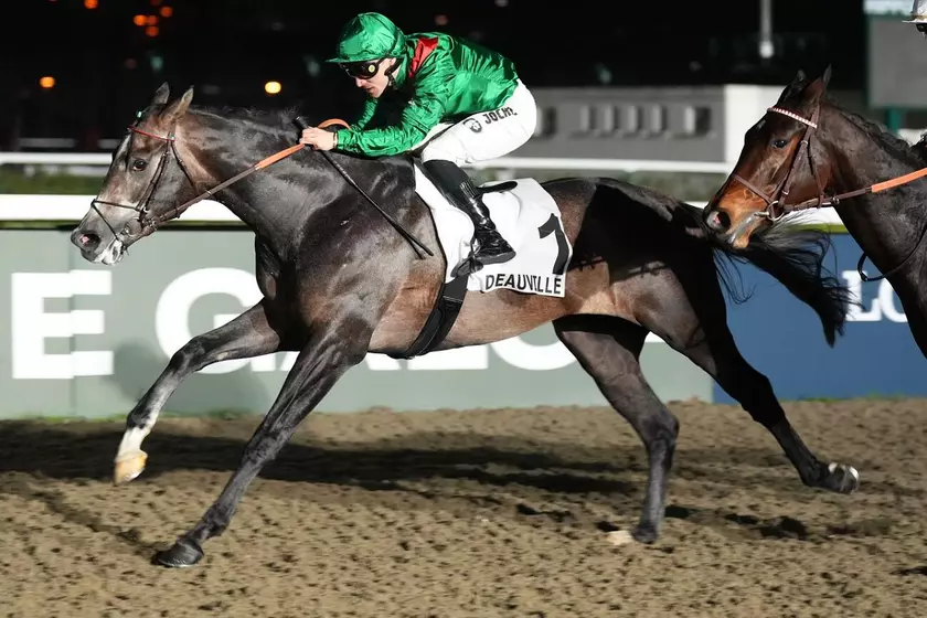 Dimanche à ParisLongchamp - Prix Noailles : Analyse et conseil de jeu ...