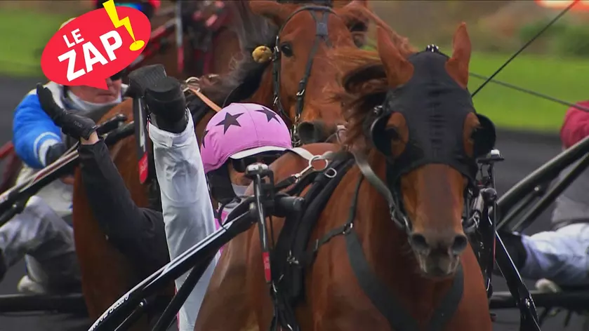 Zap du mois de janvier 2023 | Equidia