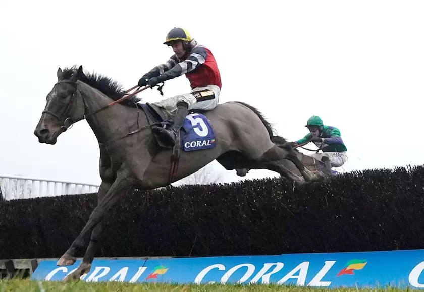Potters Corner s'impose dans le Grand National virtuel Equidia