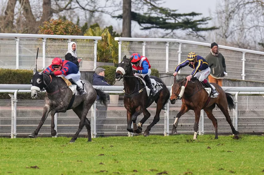 Quinté+ du samedi 8 mars : Analyse et décryptage de la course de réf ...