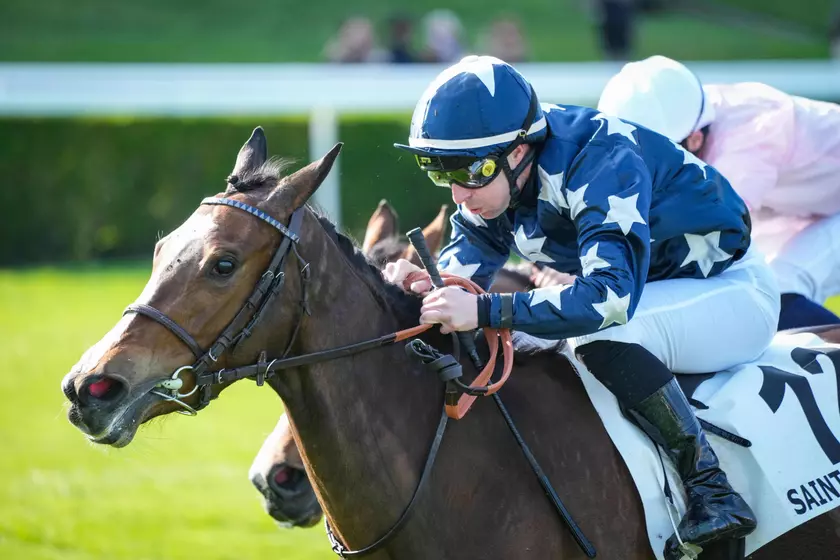 Quinté+: Arrivée et rapports du Quinté+ du dimanche 15 mars : Rentrée ...