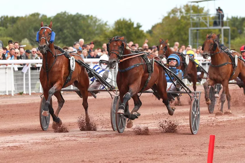 Mercredi à Toulouse - Les partants du 49e Grand Prix du Sud-Ouest | Equidia