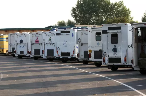 Camion pour top chevaux permis b