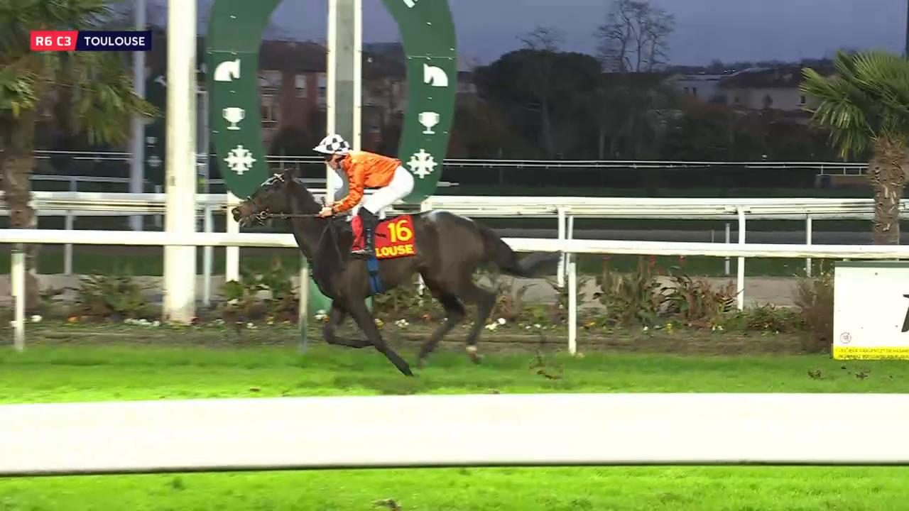 PRIX GABRIEL SUAREZ D'ALMEYDA - TOULOUSE - 30/11/2025 : partants ...